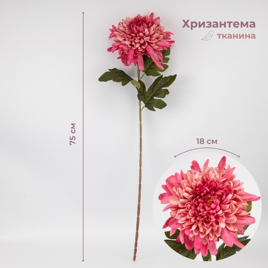  (2026-012/mauve)