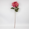  (2026-012/mauve)