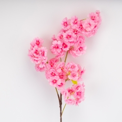 (2026-016/pink)
