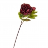 Квітка штучна "Півонія з бутоном", бордова (8100-043)