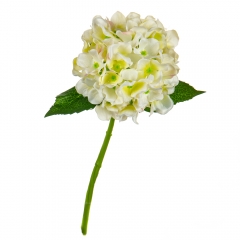 Букет "Гортензия комнатная" белая (8114-010)