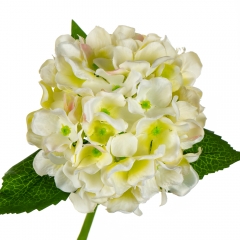 Букет "Гортензия комнатная" белая (8114-010)