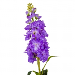 Дельфиниум "Грация", фиолетовый, 80 см (9122-005)