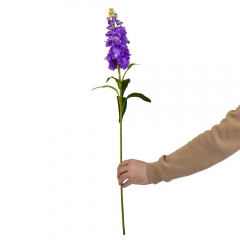 Дельфиниум "Грация", фиолетовый, 80 см (9122-005)