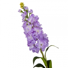 Дельфиниум "Грация", сиреневый, 80 см (9122-006)