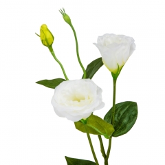 Эустома "Айлин", белая, 67 см (9122-012)