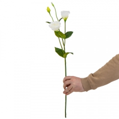 Эустома "Айлин", белая, 67 см (9122-012)