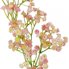 Гипсофила "Нежность", розовая, 65 см (9122-017)