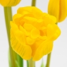 Букет латексних тюльпанів, 5 бутонів, жовтий, 49 см (2026-005/yellow)