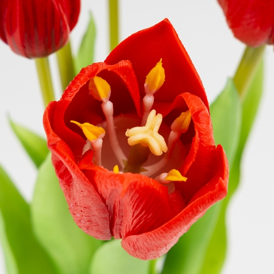 Букет латексних тюльпанів, 5 бутонів, червоний, 38 см (2026-007/red)