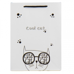 Подарунковий пакет "Стильний кіт" (18926-004)