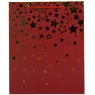 Подарунковий пакет "Зіркове свято", 30*41,5 см (18925-015)