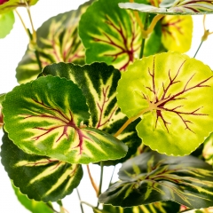 Веточка Филодендрона (2001-007)