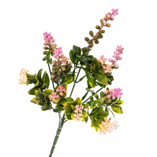 Квітка Аконіт рожева (2001-009PK)