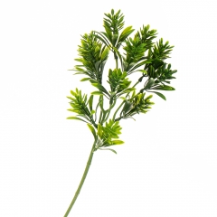 Ветка  тропическая (2001-018)