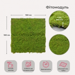 Декоративная панель из искусственного мха, 100*100 см (9224-011)