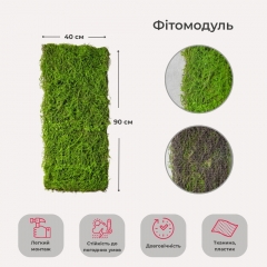 Декоративная панель из искусственной зелени "Мох", 4090 см (9226-002)