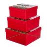 УЦІНКА Коробка "З Новим роком" (В наявності тільки 2 коробки із трьох розмір S і M) (00BR-8211-037/2)