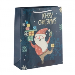 Подарочный пакет "Рождественское настроение", 26*32 см * Рандомный выбор дизайна (9266-001)