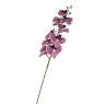 Орхідея 106 см., Фіолетова (8701-008)