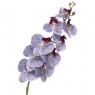 Орхідея 106 см., Синя (8701-010)
