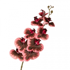 Орхидея 106 см., Бордовая (8701-011)