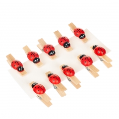 Прищепка "Божья коровка" (0362J)