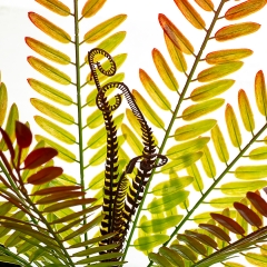 Ветвь папоротника красно-желтая искусственная (8408-053)