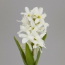 Гіацинт штучний з цибулиною, білий, 35 см (2028-029/white)