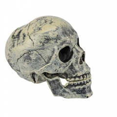 Декор на Хэллоуин "Череп", 19 см (9243-036)