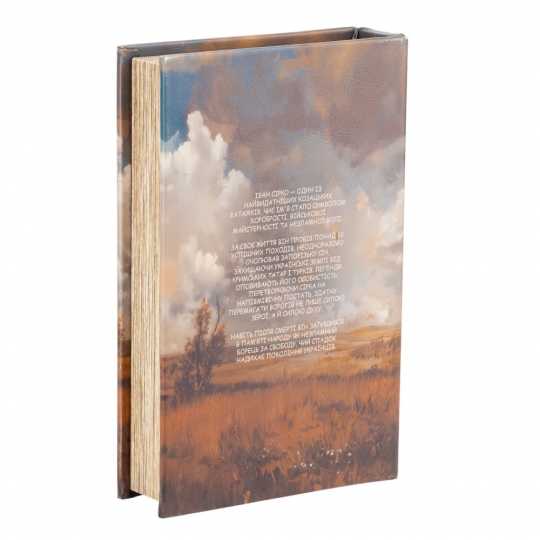Книга-сейф 