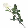 Троянда кремова, 77 см, силікон (008F/cream)