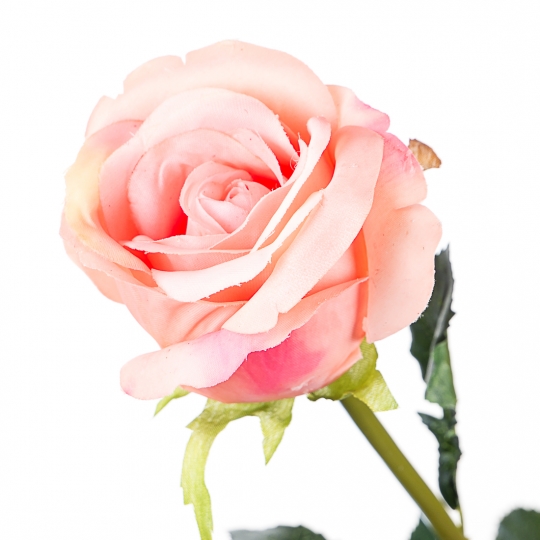 Троянда рожева, 77 см, силікон (008F/pink)