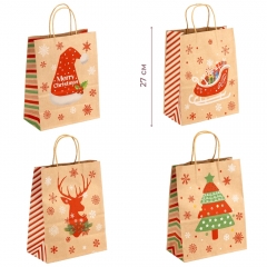 Подарочный пакет "Рождественская коллекция", 21*27 см * Рандомный выбор дизайна (9264-002)