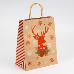 Подарочный пакет "Рождественская коллекция", 21*27 см * Рандомный выбор дизайна (9264-002)