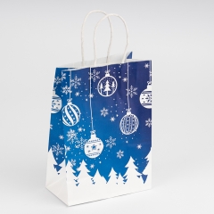 Подарочный пакет "Новогодняя коллекция", 15*21 см * Рандомный выбор дизайна (9264-004)