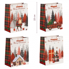 Подарочный пакет "Рождественские подарки", 18*23 см * Рандомный выбор дизайна (9263-007)