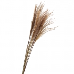 Ковыль, стабилизированная (8213-049)