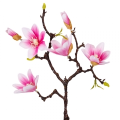 Магнолия "Аврора", розовая, 62 см (9160-010)