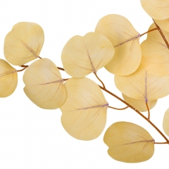 Искусственная ветвь "Эвкалипт", бежевая, 82 см (9160-026)