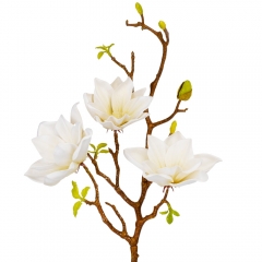Магнолия "Аврора", кремовая, 77 см (9160-074)