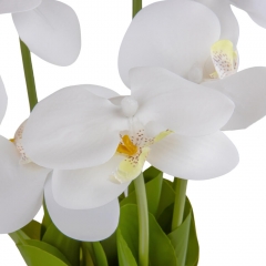 Букет орхидей, белый (8921-032)