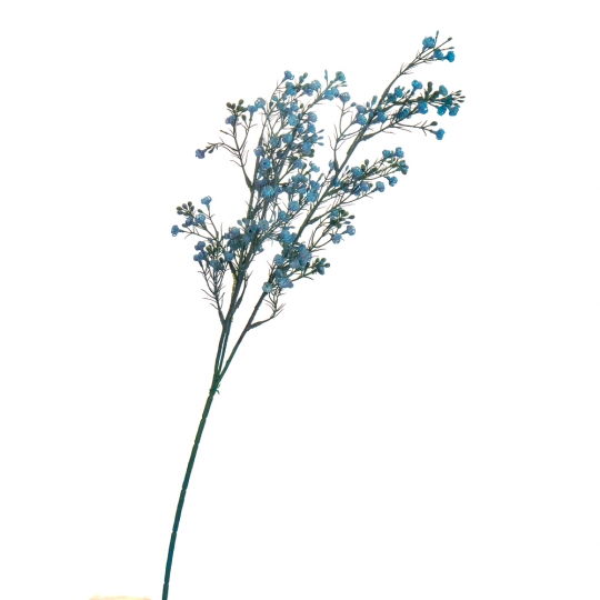 Гілка сухоцвіту польового синя (8100-004)