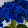 Букет гортензій, 5 бутонів, синій, 48 см (2026-008/blue)