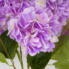 (2026-008/lavender)
