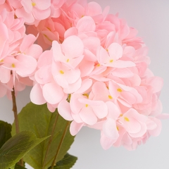 (2026-008/pink)