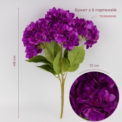 (2026-008/violet)