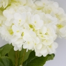 Букет гортензій, 5 бутонів, білий, 48 см (2026-008/white)