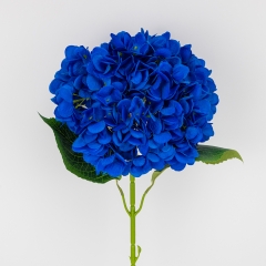 (2026-009/blue)