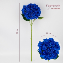 (2026-009/blue)